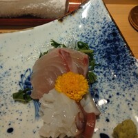 北新地 鮨 栞庵 やましろ - 