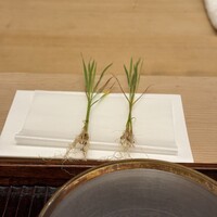 緒方 - 