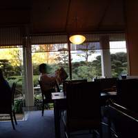 日本料理　雲海 - 丁寧に造園された窓際の箱庭の様子