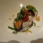 IL TEATRINO DA SALONE - 糸縒鯛　リコットアッフミカータ