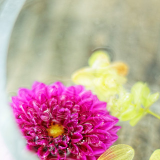 森のレストラン ラッキーガーデン_2