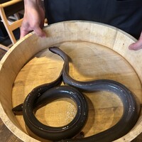 炭焼鰻 寝床 福島店 - 
