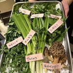 プレゼンテ スギ - 