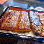 うなぎの 東海亭 - 2024年4月　うな重二段重ね　ご飯に中にもうなぎが！でも…
