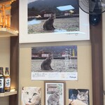 ネコモシャクシモ - 