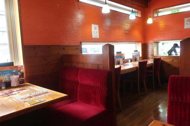 Komeda Coffee Ten Fujimihashi Ten photo 4