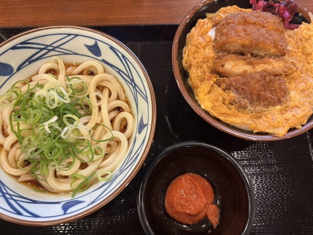 Marugame Seimen Sakai Izumikita Ten photo 2