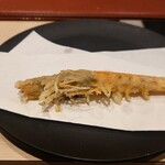 車海老専科 天麩羅 手一束 - やわら海老（ソフトシェル車海老）1尾