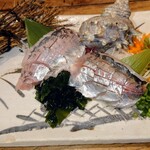 海湘丸 - 地アジ刺身