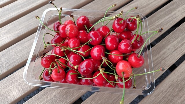 cafe 乃ノ蔵 - 乱川（カフェ）の写真