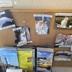 珠 - 猫一覧（チャチャ、そら、みゆ　が二階担当？）