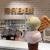 BABBI GELATERIA KYOTO