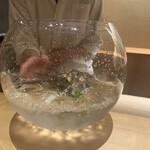 橦木町 しみず - 