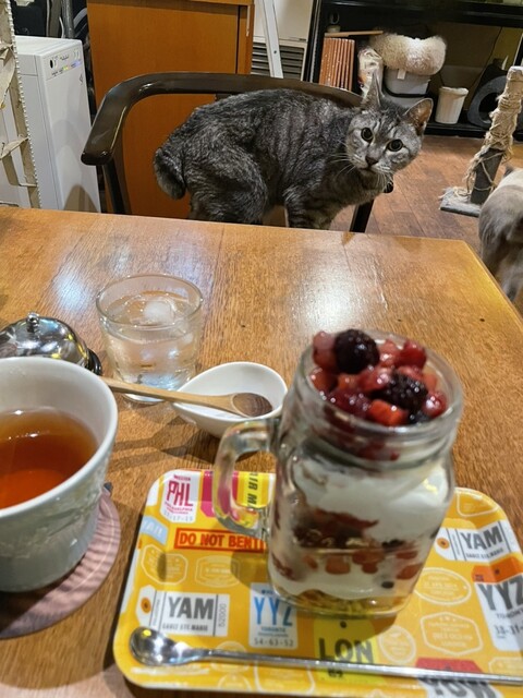 HARA ANNUAL VII カフェ セブンカフェ （VII CAFE） - 旭川/バー | 食べログ