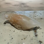 菊鮨 - メイチダイ