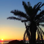 TATEYAMA イタリア食堂 - ダイヤモンド富士