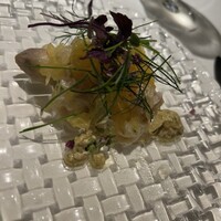 TXOKO - 