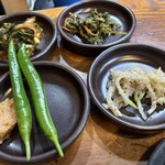 トゥッペギチッ - ナムル