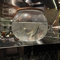 HIKARI - 