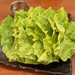 アキ - サンチュ