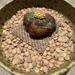 パルコ フィエラ - 