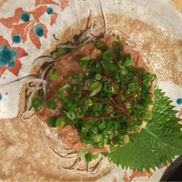 晩鶏 - 