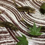 食楽処かわ西 - 小鮎の塩焼き