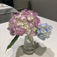 ル・ニコ・ア・オーミナミ -  ル・ニコ・ア・オーミナミ -