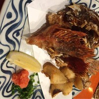 魚竹 - 
