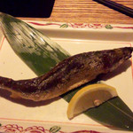 ROBATA 二代目 心 - 