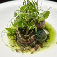 TACUBO - 