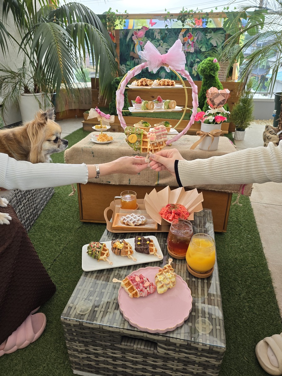 ⌘ Porte-Bonheur ⌘ページ Porte Bonheur / TOPページ