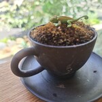 ト七 - オーナーさんのセンスがステキ✨