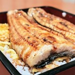 せいろ蒸しと創作和牛 隠居亭 - うな重