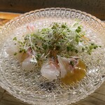 伊在 - 真鯛柚子胡椒カルパッチョ　　1100円