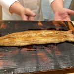 日本料理 新茶家 - 海うなぎ