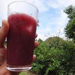 出山果樹園 - ２０１４年