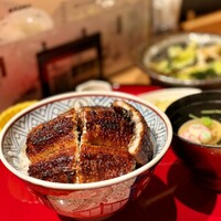 炭焼 うな富士 有楽町店 - 