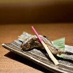 佐渡島へ渡れ - 