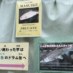 金精川のます池 - 