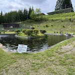 金精川のます池 - 