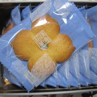 鎌倉ニュージャーマン_1