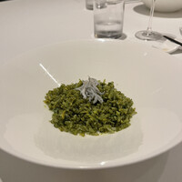 カントニーズ 燕 - 