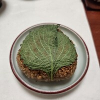 一つ木竹林草 - 