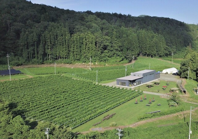 秋保ワイナリー（Akiu Winery） - 仙台市太白区その他（その他）の写真