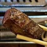 お肉一枚売りの焼肉店 焼肉とどろき - 