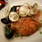 アマルフィイ デラセーラ - 