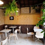 Macaca - 