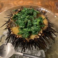 HAGI - 