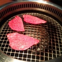 生粋 - 